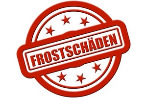 schäden