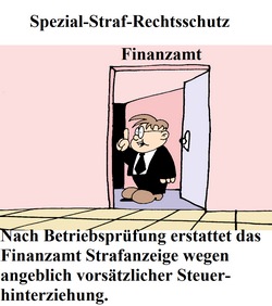 Strafrechtsschutz